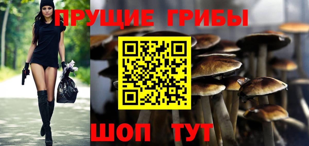 Псилоцибиновые грибы мухоморы  Галлюциногенные грибы Cubensis  Красногорск  Вход с VPN 